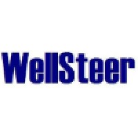 WellSteer Oilfield Technology Services Limited Logo