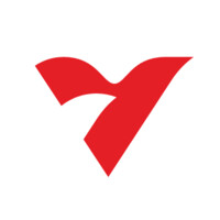 Vector International SRL Logo