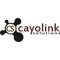 Cayolink Solutions Ltd Logo