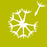 Designs To Grow Logo