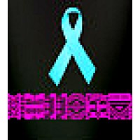 WE Survive Abuse Logo