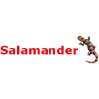 Salamander Consulting Logo