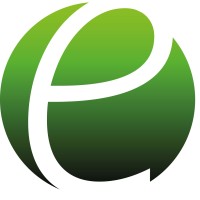 Emsys Logo