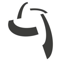 DIRECT Service Groep Logo