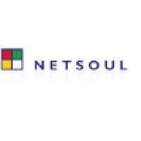 Netsoul srl Logo