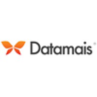 Datamais Sistemas Logo