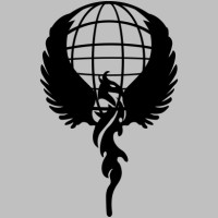 Phoenix Biz Solutions Logo