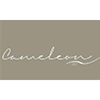Cameleon MGT Logo