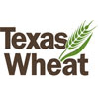 Texas Wheat Logo