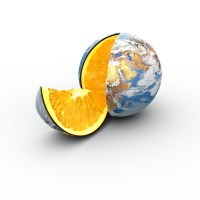 Proactive Risk Management Inc Logo