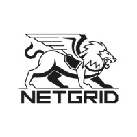 Netgrid Logo