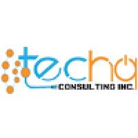 TecHQ Consulting Inc Logo