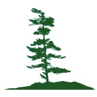 Brackenrig Capital Logo