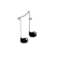 Torun Symphony Orchestra Logo