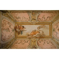 Palazzo Falletti di Villafalletto Logo