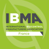 IBMA France Logo