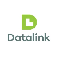 Datalink Networks, SRL. Logo