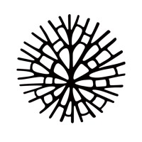 LiveTrends Design Group Logo