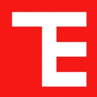 Thermo Electric Instrumentation B.V. Logo