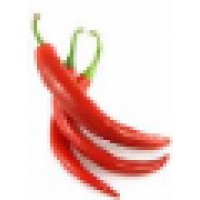 Cayenne Media Logo