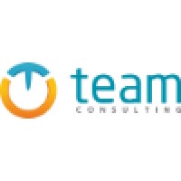 Team Consulting Logo