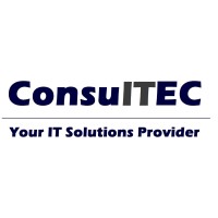 Consultec LLC Logo