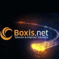 Boxis group Logo