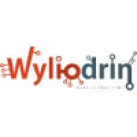 Wyliodrin Logo