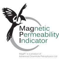 Advanced Downhole Petrophysics Ltd Logo