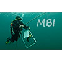 Marine Bio-images Logo