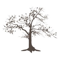 WestWind Pictures Logo