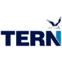 TERN Financial Group Inc. Logo