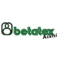 Betatex S.p.A. Logo