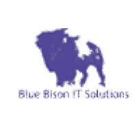 Blue Bison IT Solutions Logo