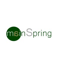 mainSpring Partners SL Logo
