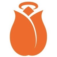 Holland Startup Logo