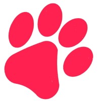 Connecticut Websites Logo