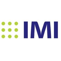 IMI International Logo