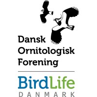 Dansk Ornitologisk Forening (DOF) BirdLife Danmark Logo