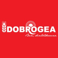 Dobrogea Grup Logo