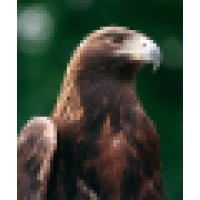 MRGB Consulting Logo