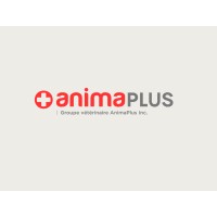 Anima-Plus Logo