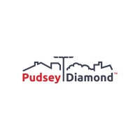 Pudsey Diamond Logo