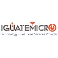 Iguatemicro Services Soluction Provider Logo