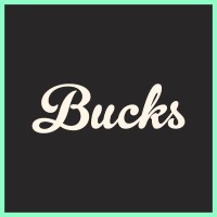 Bucks Digital Media Publishing Agency Logo