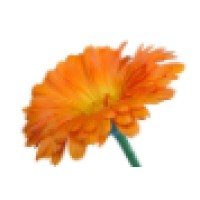 Calendula Consulting Logo