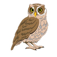 Be Wiser Insurance Logo