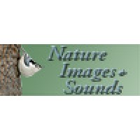 Nature Images and Sounds, LLC and Wood Song Studios Logo