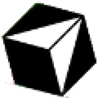 NXTP Coaching & Advies Logo
