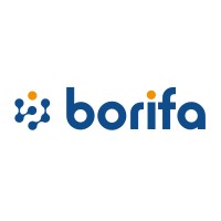 Borifa Logo